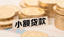 成都民间空放-成都民间个人短借-成都民间身份证小额贷款